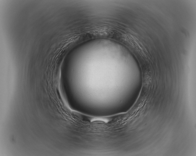 X0000115681297200911121237