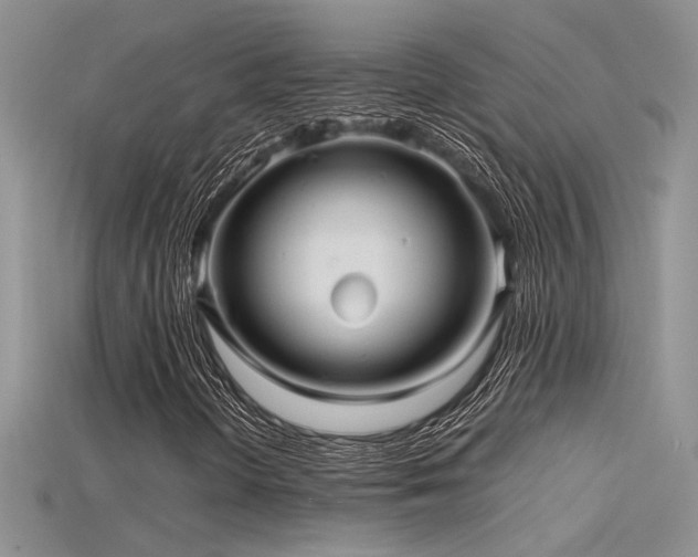 X0000115681298200911121237