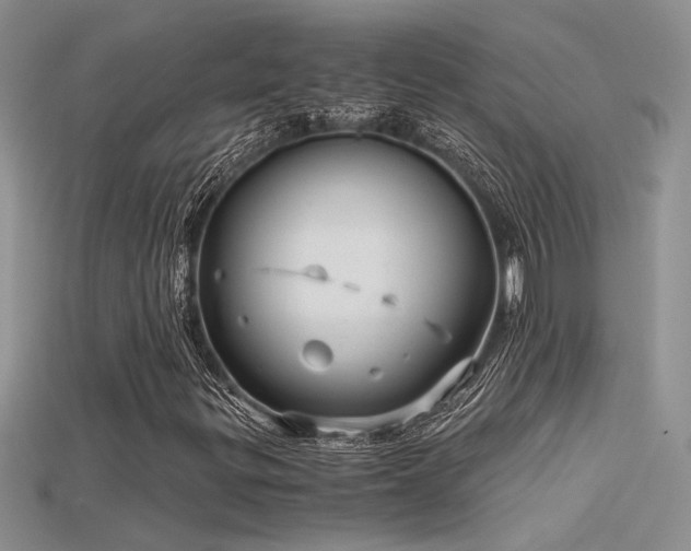 X0000115681299200911121237