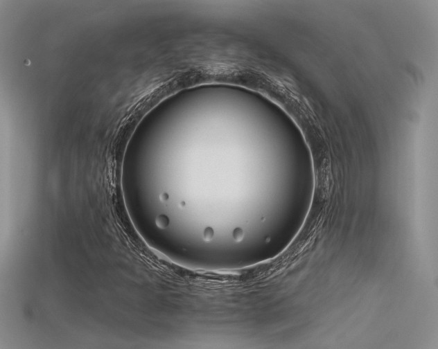 X0000115681301200911121237