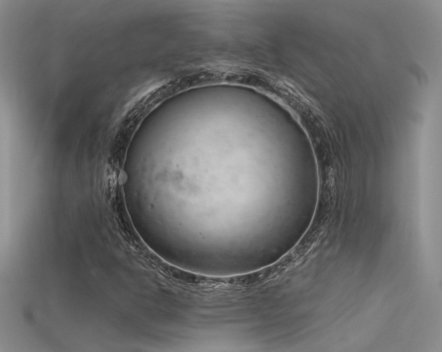 X0000115681302200911121237