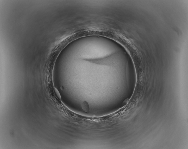 X0000115681303200911121237