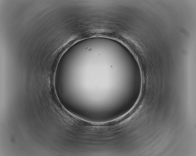 X0000115681305200911121237