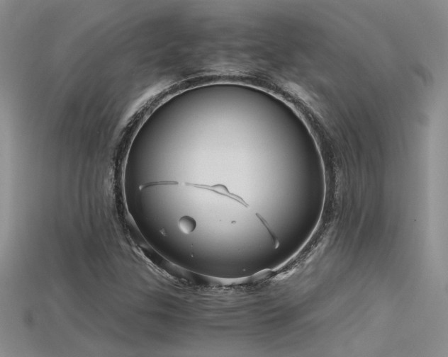 X0000115681307200911121237