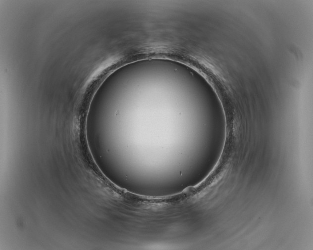 X0000115681309200911121237