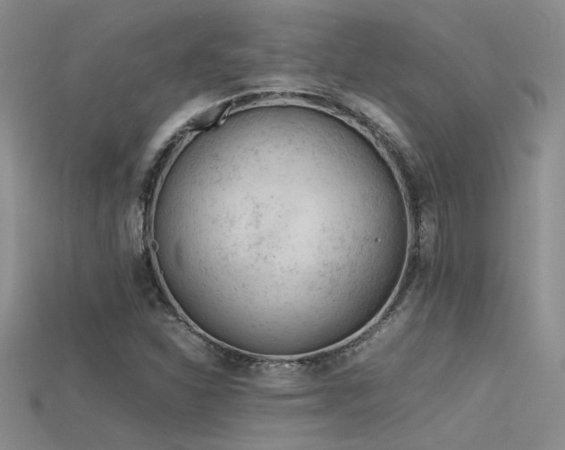 X0000115681310200911121237