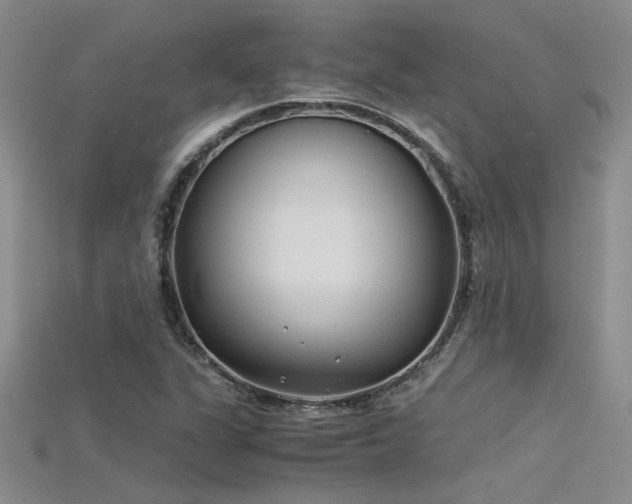 X0000115681311200911121237