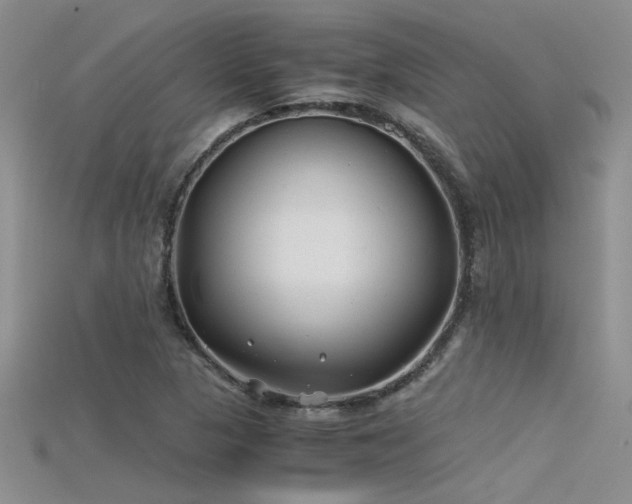 X0000115681313200911121237