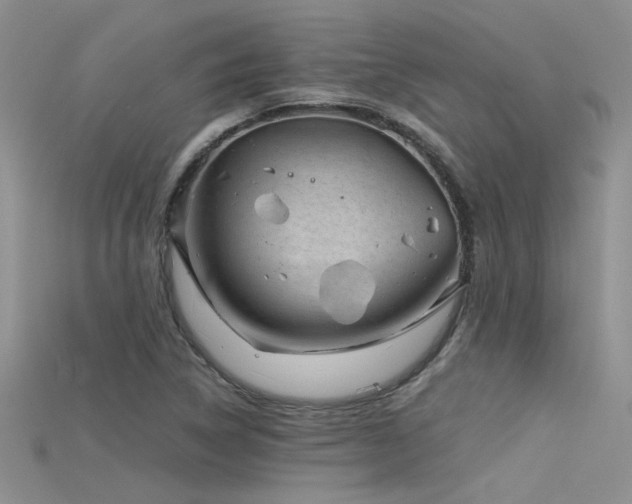 X0000115681314200911121237