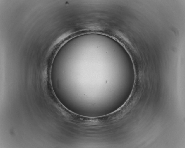 X0000115681315200911121237