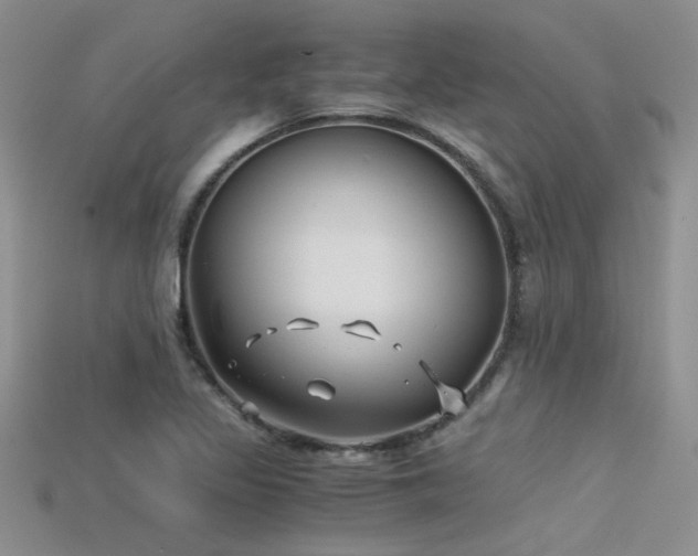 X0000115681317200911121237