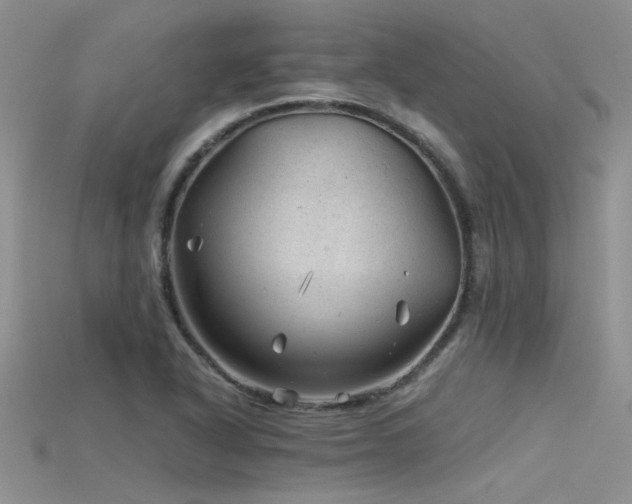 X0000115681318200911121237