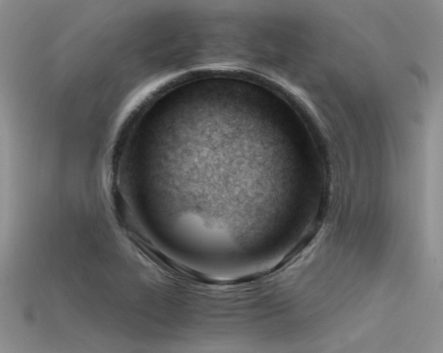 X0000115681319200911121237