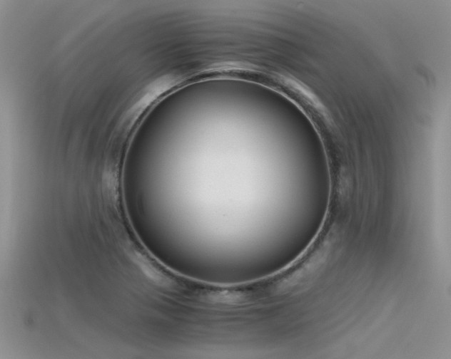 X0000115681321200911121237