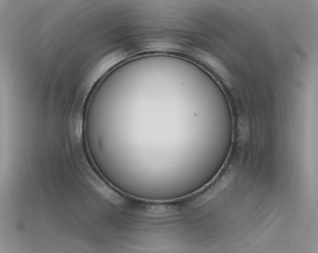 X0000115681322200911121237