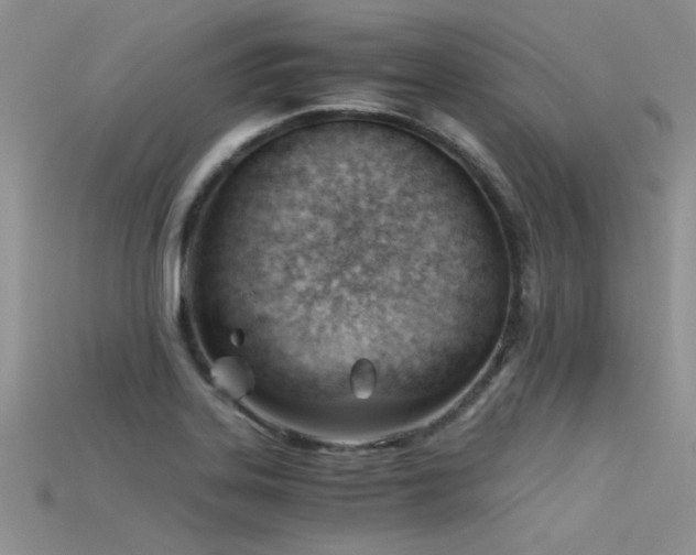 X0000115681323200911121237