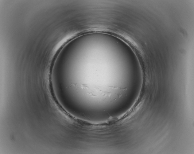 X0000115681325200911121237