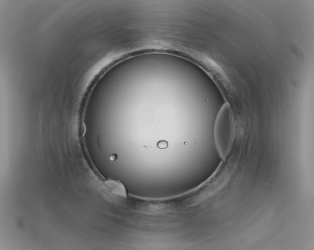 X0000115681326200911121237