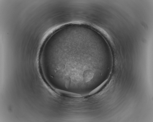 X0000115681327200911121237