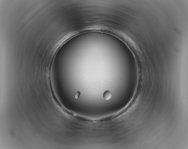 X0000115681329200911121237