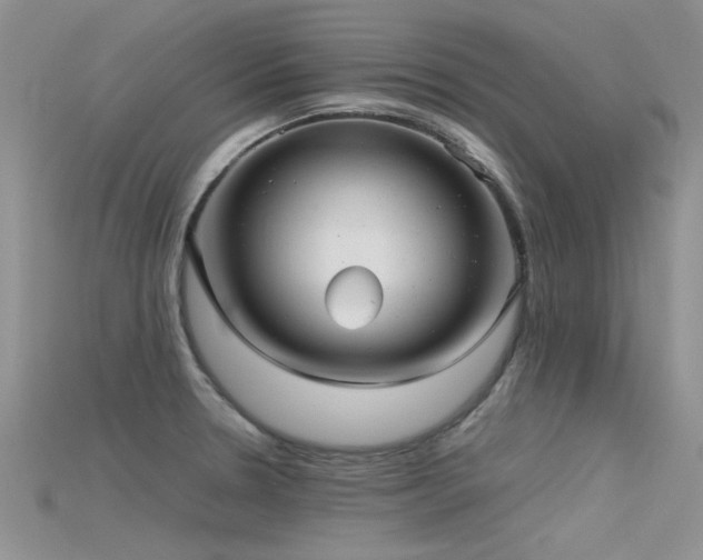 X0000115681330200911121237