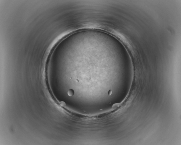 X0000115681331200911121237