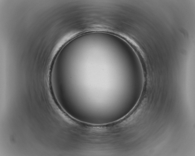 X0000115681333200911121237