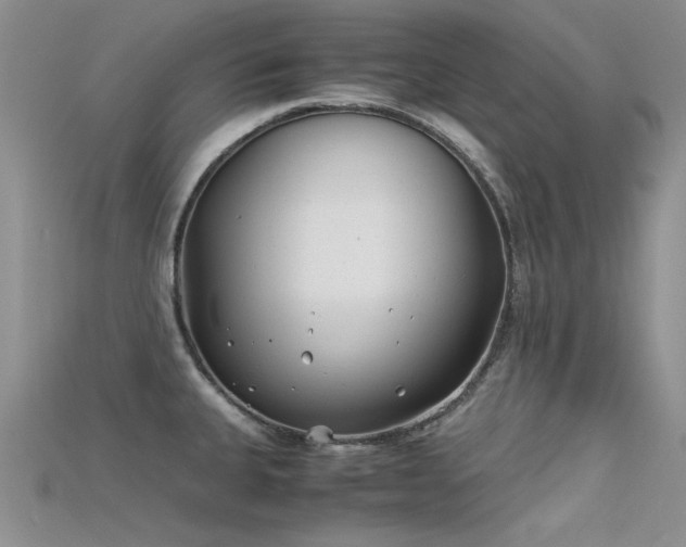 X0000115681335200911121237