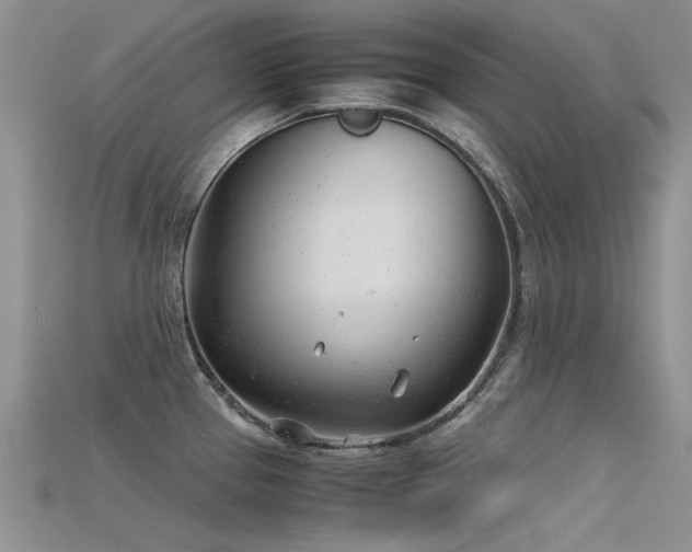 X0000115681337200911121238