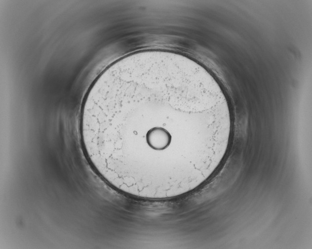 X0000115681338200911121238