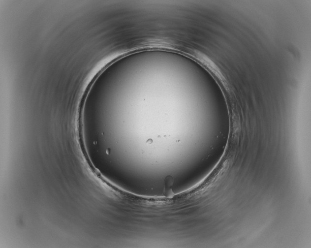 X0000115681339200911121238