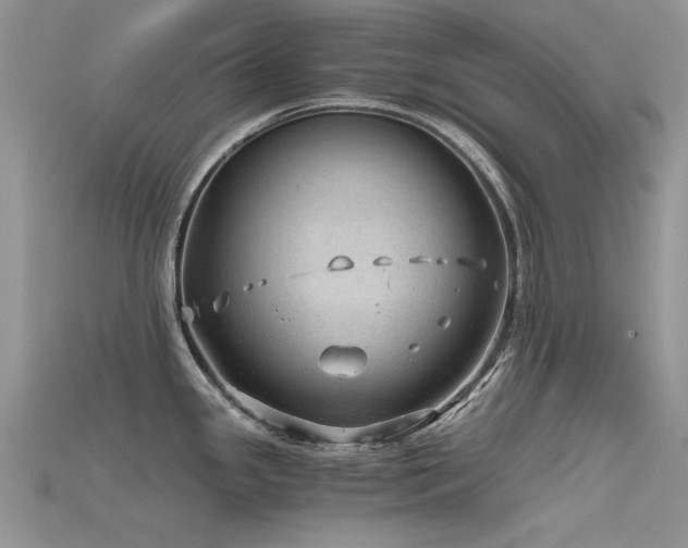 X0000115681341200911121238