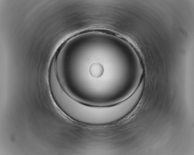 X0000115681342200911121238