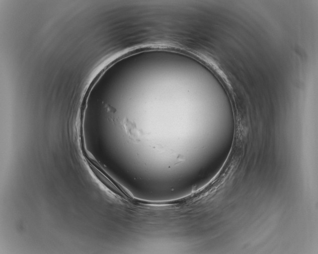 X0000115681343200911121238