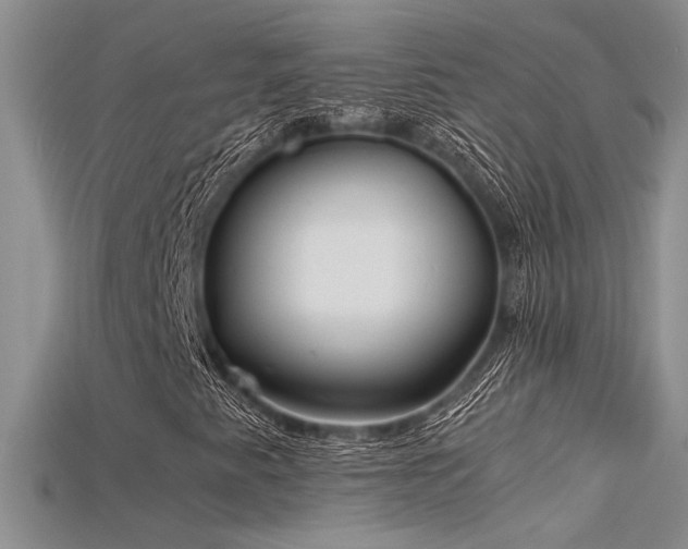 X0000115681345200911121237