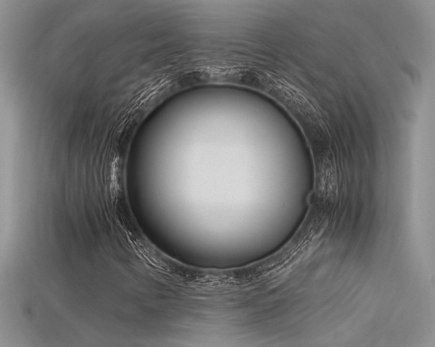 X0000115681346200911121237