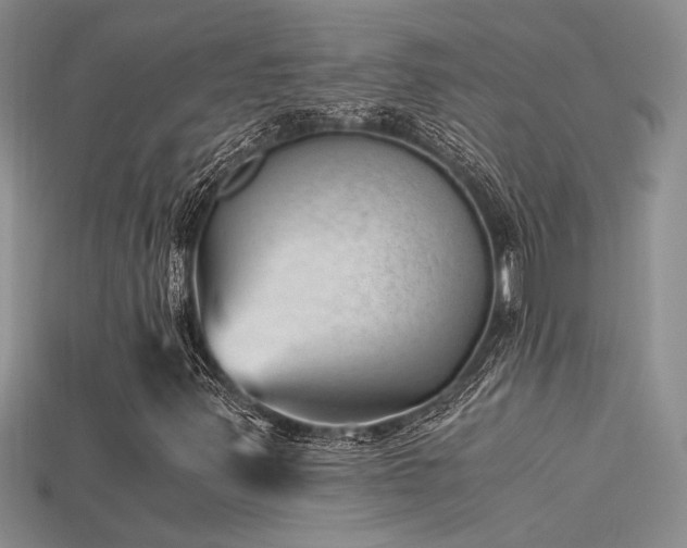 X0000115681347200911121237