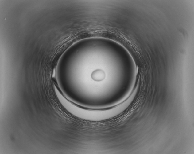 X0000115681348200911121237