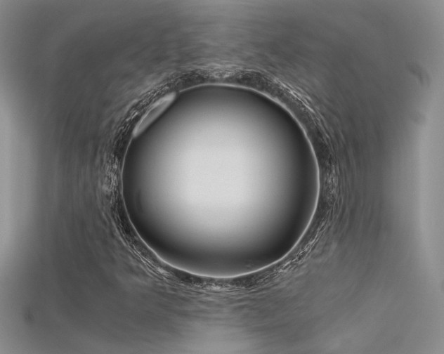 X0000115681349200911121237