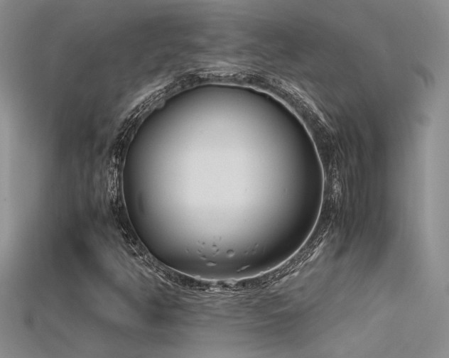 X0000115681350200911121237