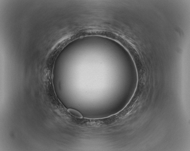 X0000115681351200911121237