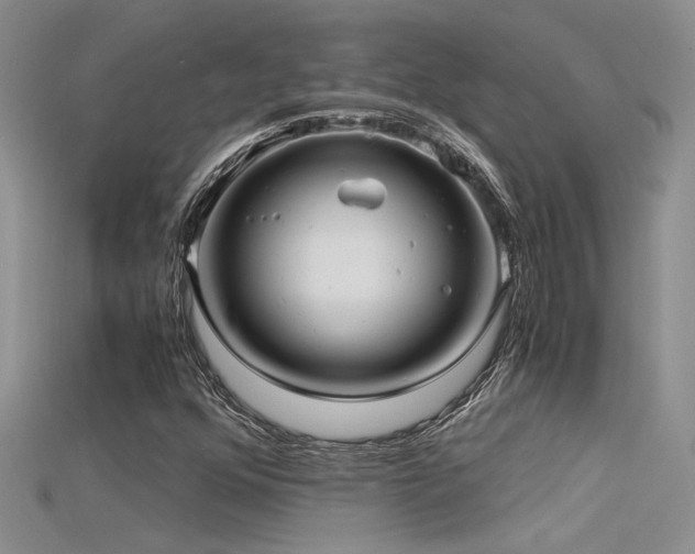 X0000115681352200911121237