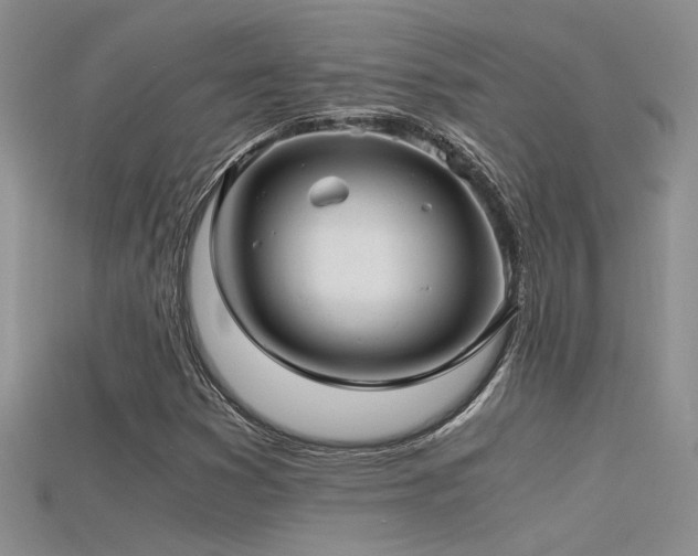 X0000115681353200911121237