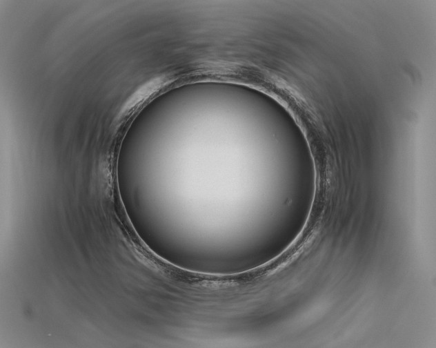 X0000115681354200911121237