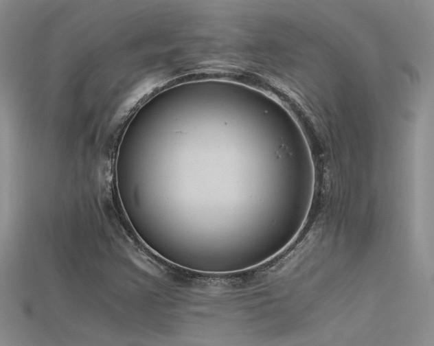 X0000115681355200911121237