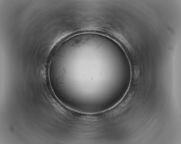 X0000115681356200911121237