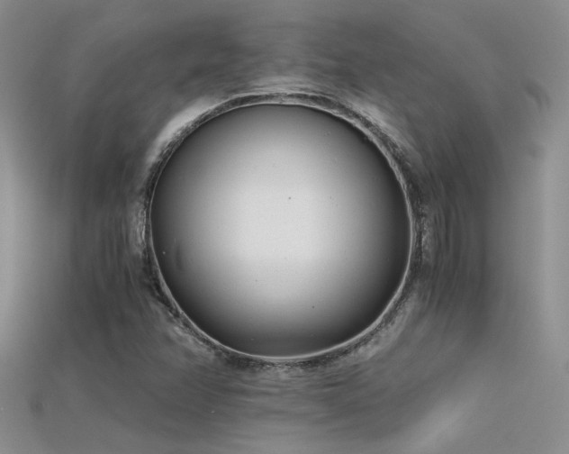 X0000115681358200911121237