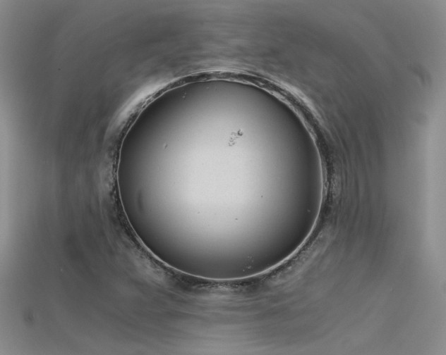 X0000115681359200911121237