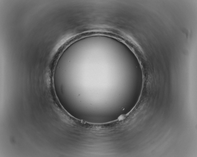 X0000115681360200911121237