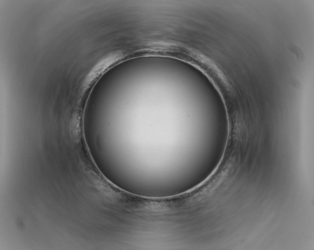 X0000115681362200911121237